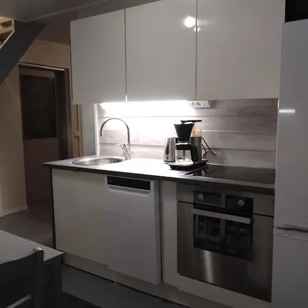 Paritalo Keskustan Laeheisyydessae Apartment *